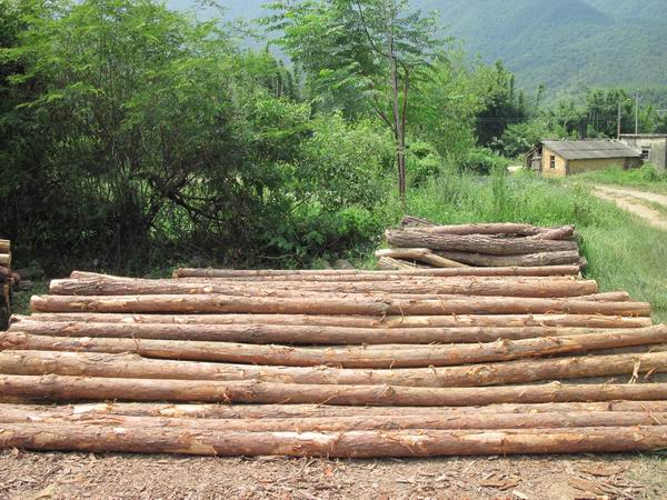 ����鿴����ԭľ�Ŵ�ͼƬ