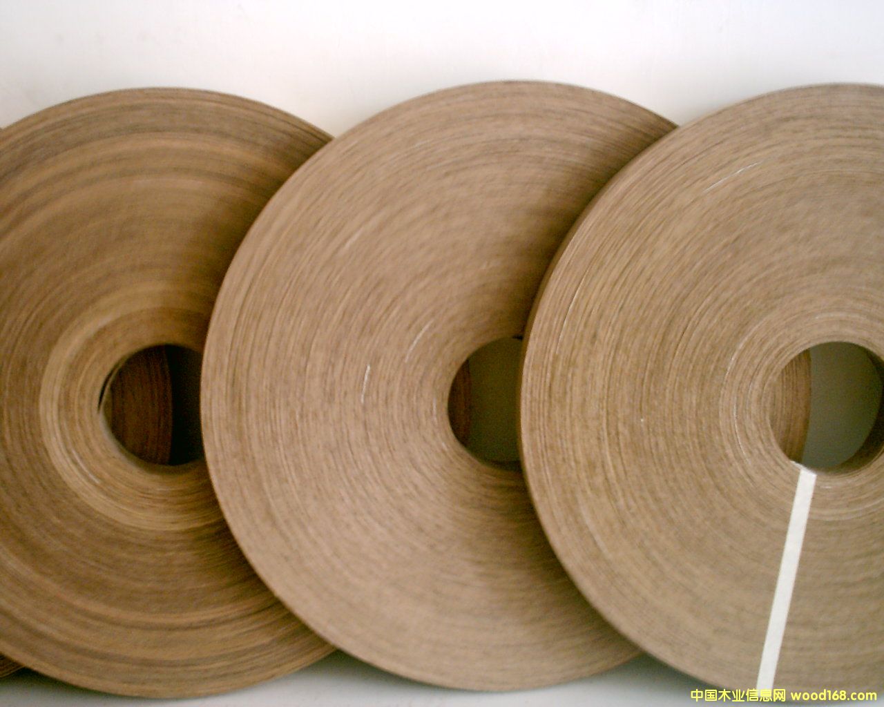 ����鿴ɳ����ľƤ������Ŵ�ͼƬ