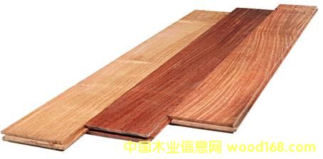 ʵľذ/ʵľָӵذ (̩, )