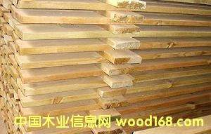 ����鿴����˹���ɰ�ļ�ľ���Ŵ�ͼƬ