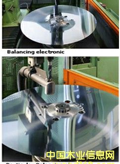 �����Բ������Ƭ��