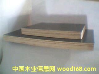 ����ģ�����ϸ����