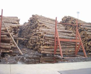 ����鿴����ԭľ�Ŵ�ͼƬ