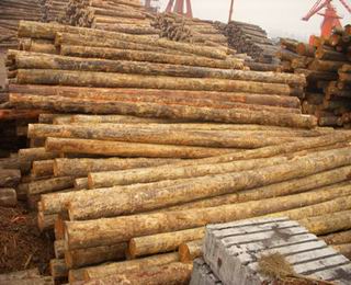 ����鿴��ɼԭľ�Ŵ�ͼƬ