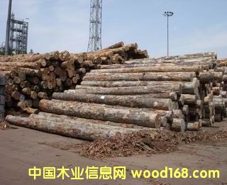 ����鿴������ԭľ����ϸ����