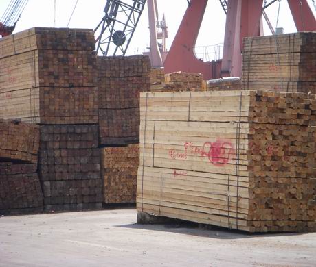 ����鿴��Ҷ�ɴ󷽷Ŵ�ͼƬ