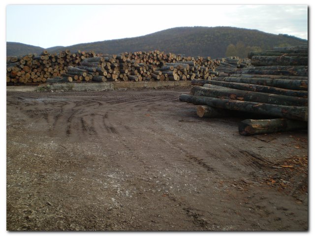 ����鿴ŷ���ľԭľ�Ŵ�ͼƬ