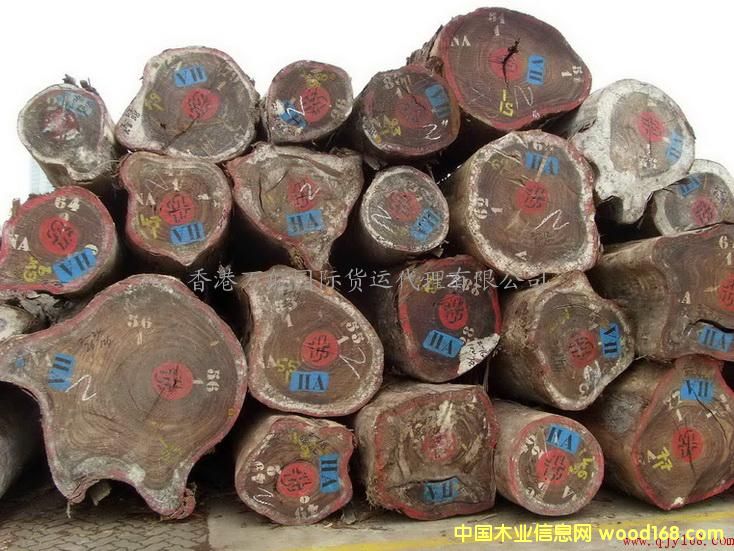 ����鿴��ɽľ�Ľ��ڱ��ش���/�Ҿ߽�����ɽ��ش���/��ɽľ�ı����зŴ�ͼƬ