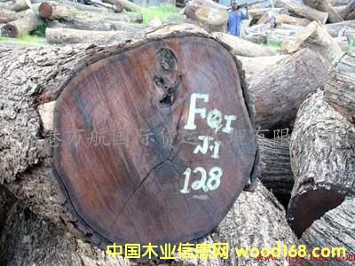 ����鿴����ľ�Ľ��ڴ���/ľ�Ľ��ں��ݱ��ش���/ľ�ĺ��ݽ��ڴ����̼�Ŵ�ͼƬ