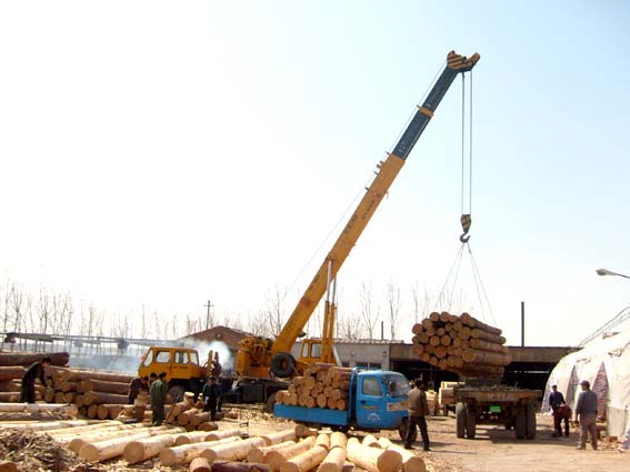 ����鿴ľ�Ľ���û�в���֤/����֤/��Σ֤��ô����?�Ŵ�ͼƬ