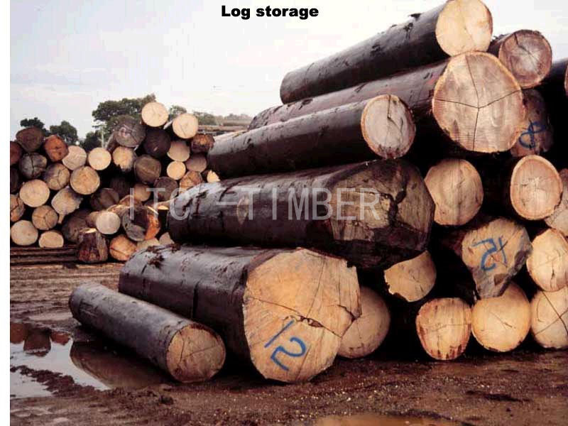 ����鿴����ԭľ����������ʹ�������ϸ����