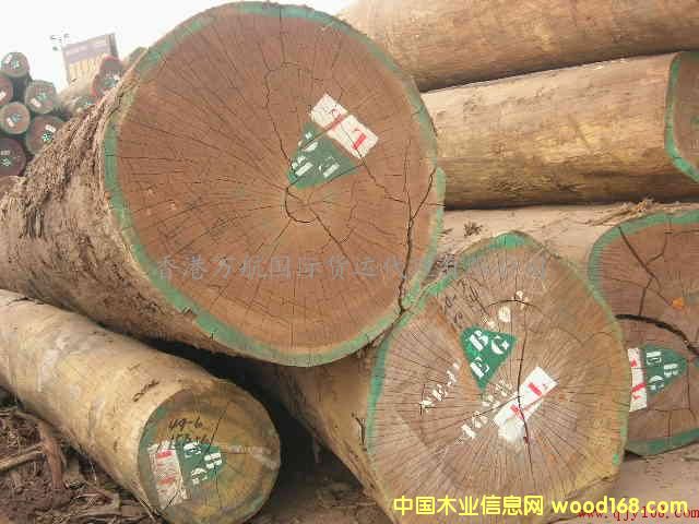 ����鿴ľ���Ϻ����ڱ��ش���/ľ�Ľ�������/�Ϻ�����ľ�Ľ����̼�Ŵ�ͼƬ