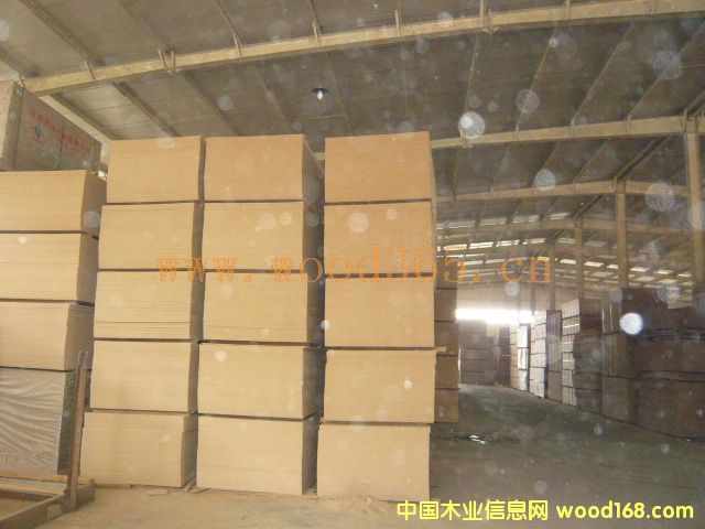 �͡��С����ܶȰ�