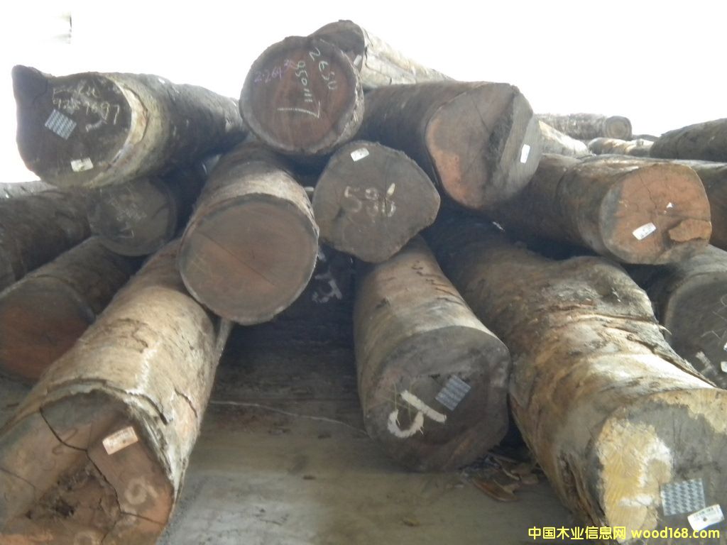 ����鿴������ľ�Ŵ�ͼƬ