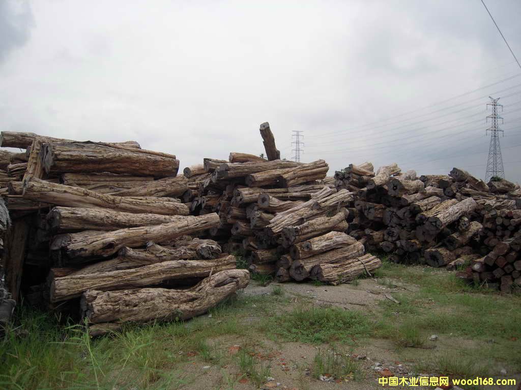 ����鿴��̴�Ŵ�ͼƬ