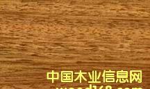 ����鿴˫����ľ�Ŵ�ͼƬ