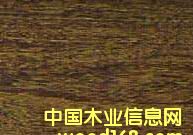 ����鿴����ľ�Ŵ�ͼƬ