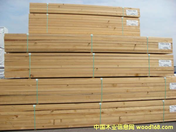 ����鿴��ɼ��ľ�Ŵ�ͼƬ