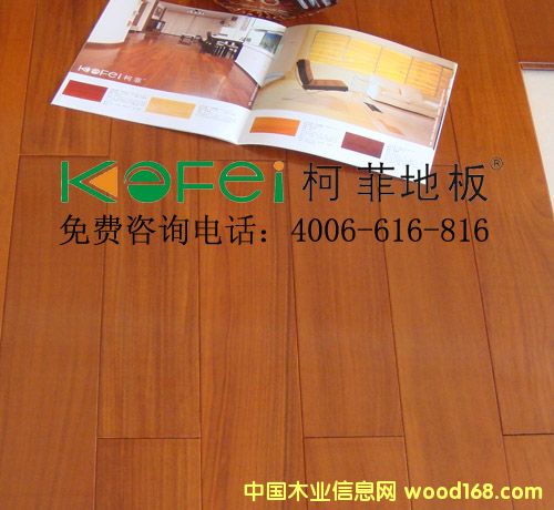 ����鿴����̴ʵľ�ذ�Ŵ�ͼƬ