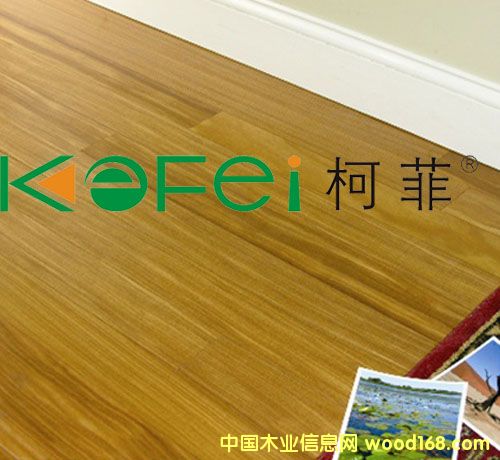 ����鿴������ʵľ�ذ�Ŵ�ͼƬ