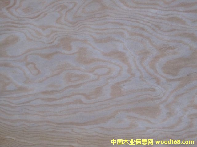 ����鿴������ľƤ�Ŵ�ͼƬ