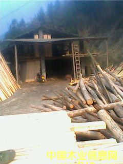 ��������ϸ����