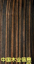 ��̴����ϸ����