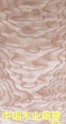 ����������ϸ����