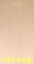 �ľ����ϸ����