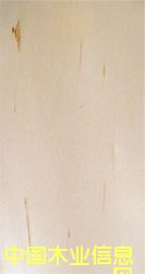 ���������ϸ����