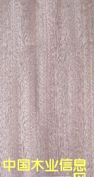 ɳ��������ϸ����