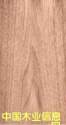 �ľ����ϸ����