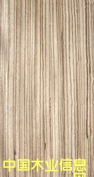 ����ľ����ϸ����