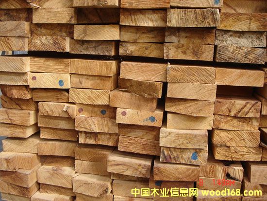 ����鿴������ľë�ϷŴ�ͼƬ