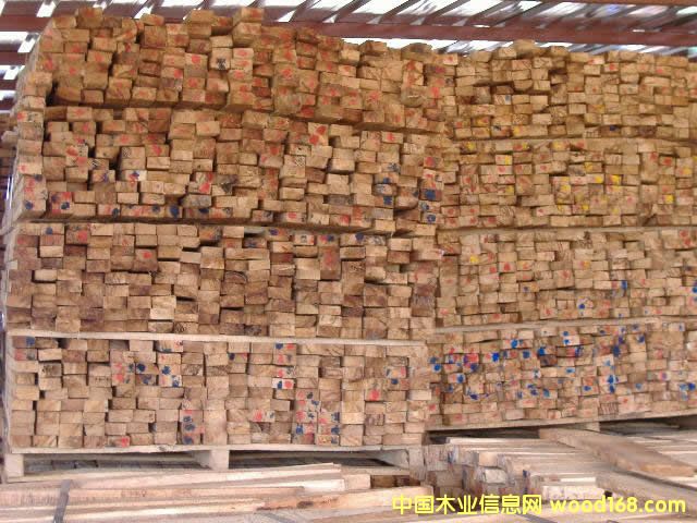 ����鿴������ľ�Ŵ�ͼƬ