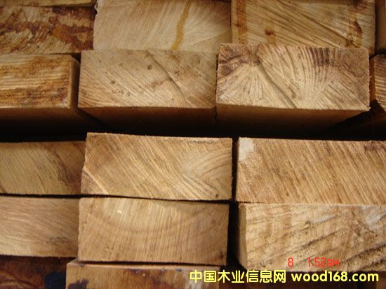 ����鿴������ľ�Ŵ�ͼƬ