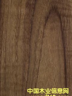 ľƤ�������ϸ����