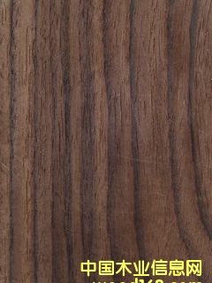 ľƤ�������ϸ����