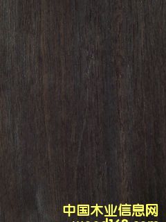 ľƤ�������ϸ����