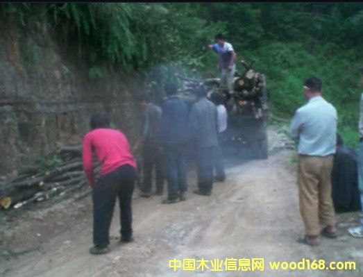 ��ƷͼƬ��ͬ��-�й�ľҵ��Ϣ����Ʒ���ȫ