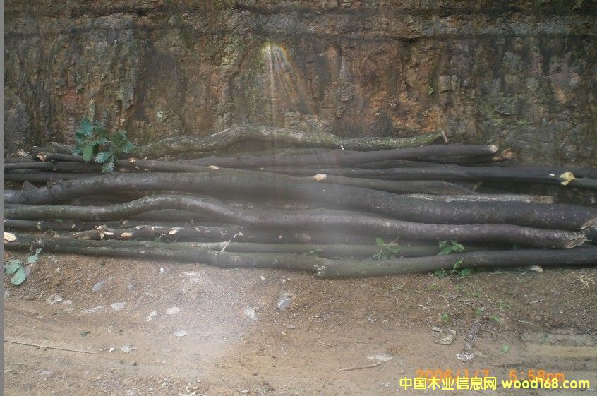 ��ƷͼƬ����ľ-�й�ľҵ��Ϣ����Ʒ���ȫ