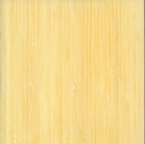 ����鿴��ɫ��ѹ��Ƥ�Ŵ�ͼƬ