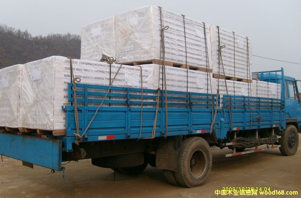 ����鿴��ľ�����ذ�Ŵ�ͼƬ