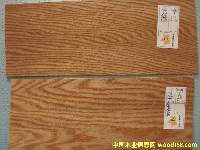 �ذ��ϵ���ϸ����