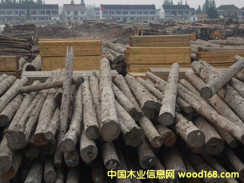 ����鿴��ͨľ�����۷Ŵ�ͼƬ