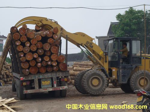 ����鿴��ͨľ�ļӹ��Ŵ�ͼƬ