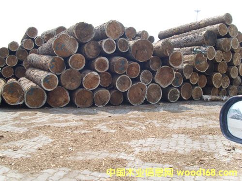 ����鿴��ͨľ���г��Ŵ�ͼƬ