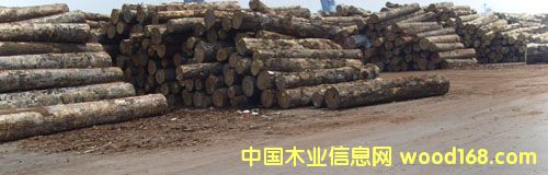 ����鿴��ͨ����ľ�ķŴ�ͼƬ