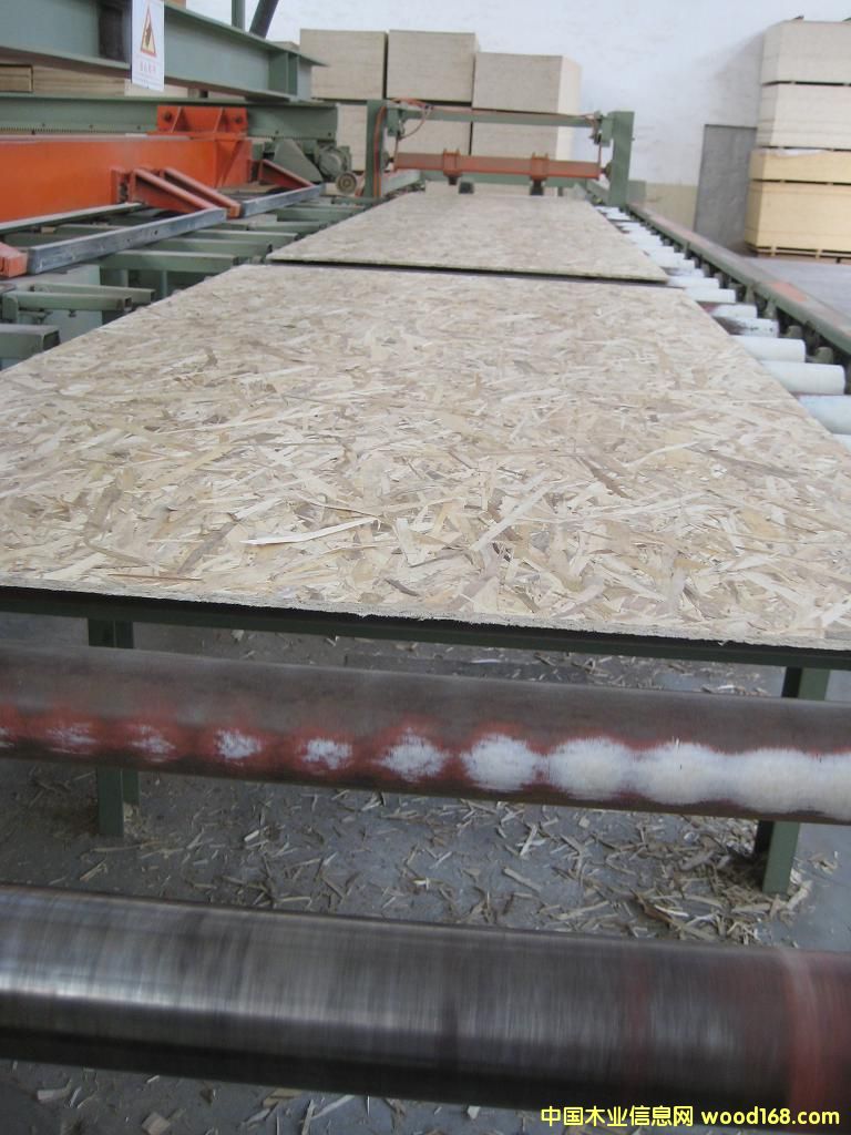 ����鿴osb�Ŵ�ͼƬ