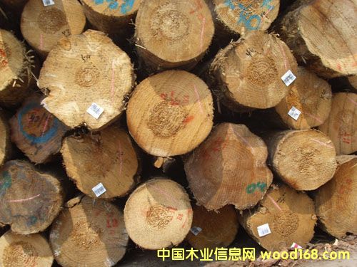 ����鿴�⽭����ľ�ķŴ�ͼƬ